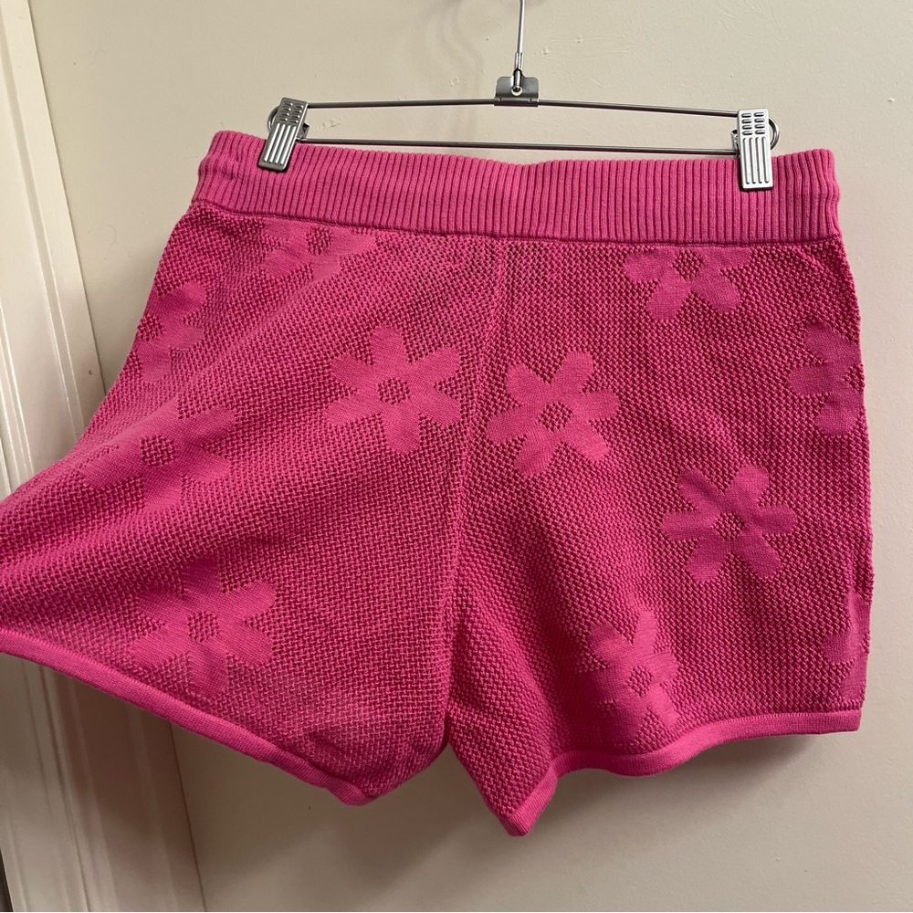 NWT Beach Riot Balboa Shorts Small - Picture 4 of 7